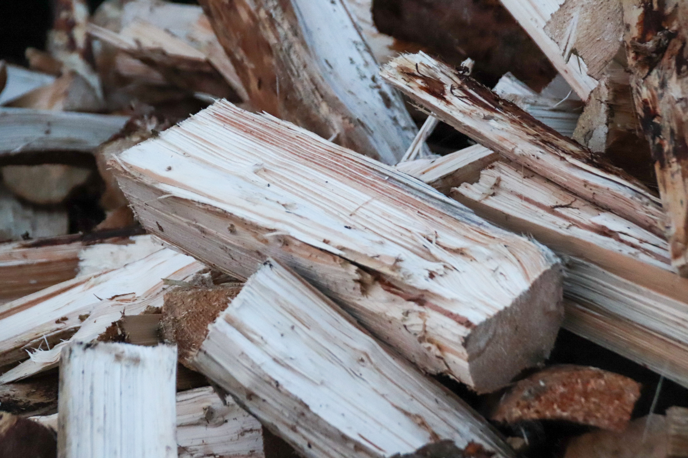 Brennholz Buche kammergetrocknet