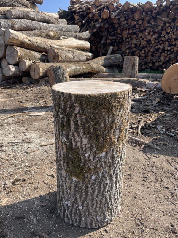 Hackklotz zum Brennholz hacken